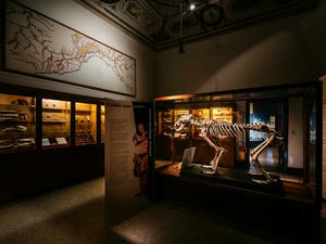 Museo Di Archeologia Ligure Genova1